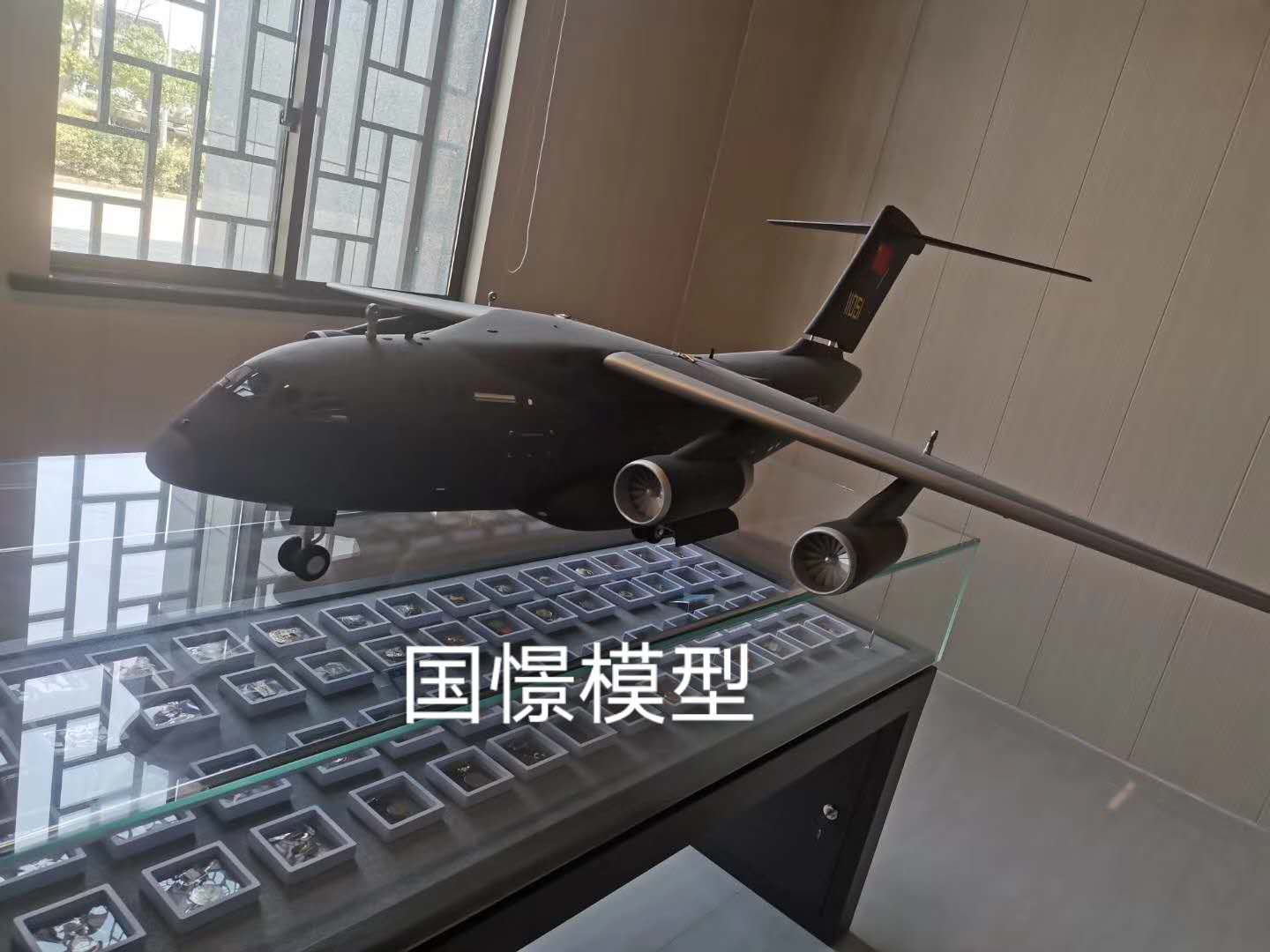 吴川市飞机模型